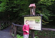 20 09 06 05 Kopiraj 
