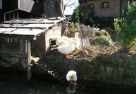 Ucionica Rastoke 22 Kopiraj 